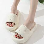 Cheese Foam Slides
