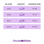 Cloud Teddy Bear Slides