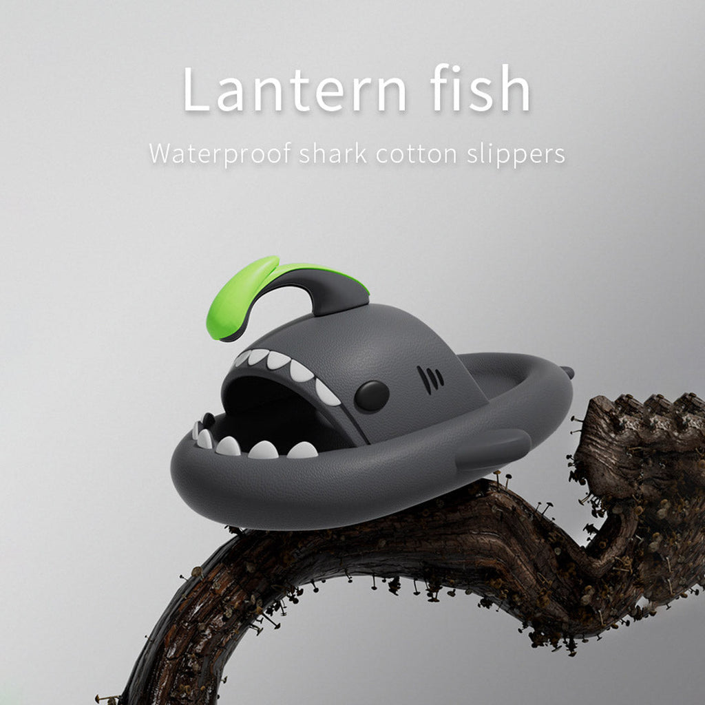 Lantern Shark Slides